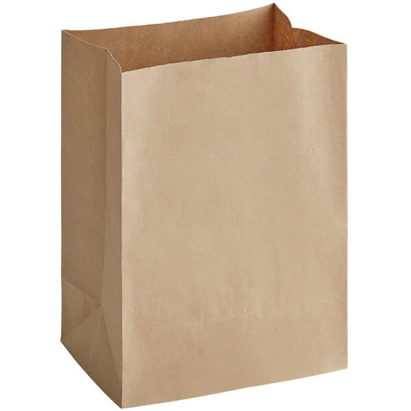 Bolsas de papel tamaño 20 - (RL-PB-S20)