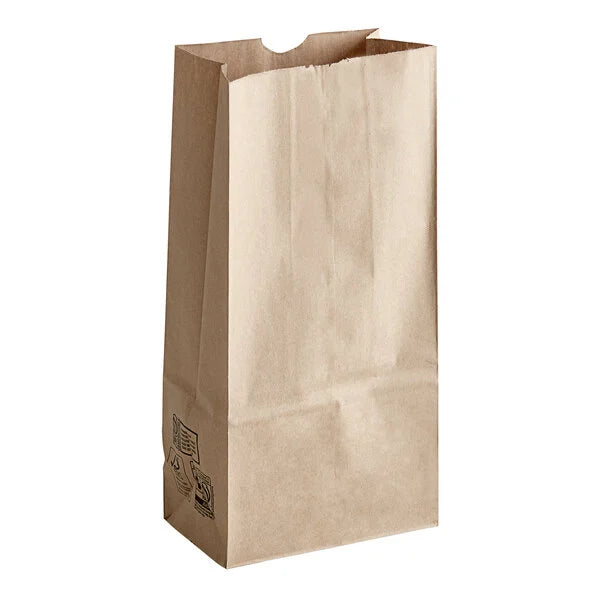 Paper Bags Size #12 - (RL-PB-S12)