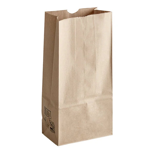 Paper Bags Size #20 Tall - (RL-PB-S20T)