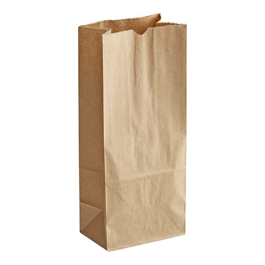 Paper Bags Size #4 - (RL-PB-S4)