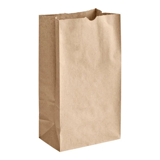 Paper Bags Size #6 - (RL-PB-S6)