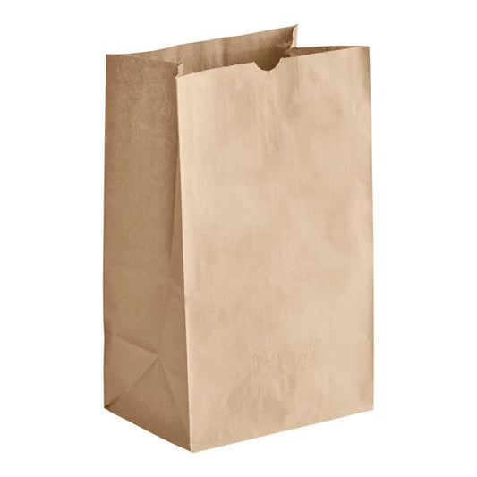 Paper Bags Size #20 - (RL-PB-S20)